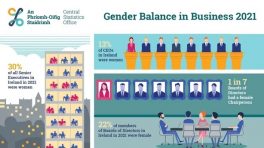 One in eight CEOs in Ireland are women - CSO survey