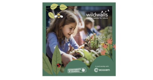 Ecocem and Biodiversity in Schools Launch Nationwide 'Wildwalls' Campaign