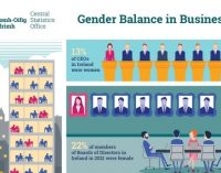 One in eight CEOs in Ireland are women – CSO survey