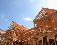 Home-building potential of Irish wood underlined in new poll